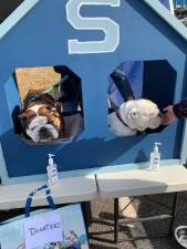 The bulldog kissing booth is expected to return this year.