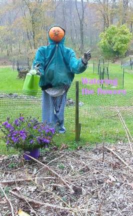 Watering the flowers (Photo provided)