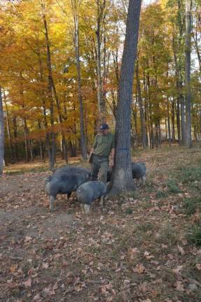 Will Brown in a moment of reflection with a few of his animals.