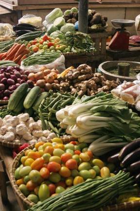 Agriculture scholarships Agriculture scholarships