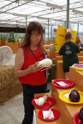 Fair fun Judge Mary Jasch of Augusta is shown examining a white eggplant in the competition.