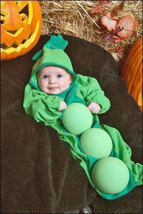 Sweet pea Sweet pea