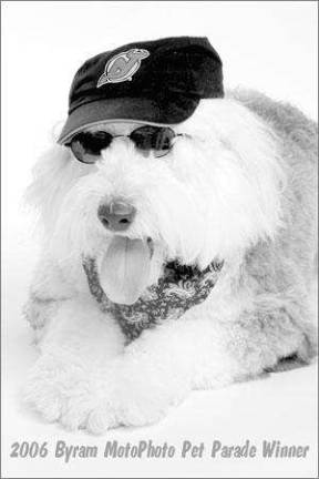Devils dog Devils dog