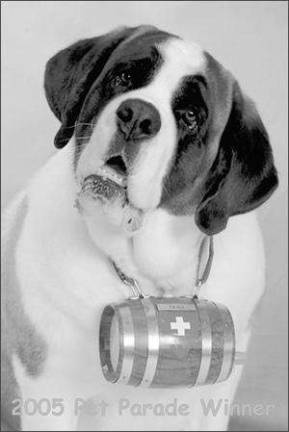 Pet Parade' to raise funds rescue squad Pet Parade' to raise funds rescue squad