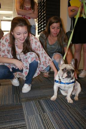 The therapy dog is dead: Long live the therapy dog Sparta HS seniors Ashley Lamoureux, left, and Jeanne Earl visit Stanley for the first time since his accident.