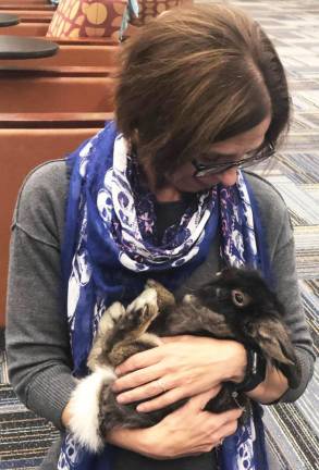 Angela Deluccia, Media Specialist, holds Hank the therapy rabbit