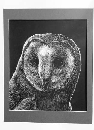 Grand Prize Youth: Barn Owl on Scratch Board (Ande Wittenmeier)