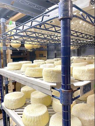 Amazing cheese made from scratch right in Sussex County The cheesemaking process.