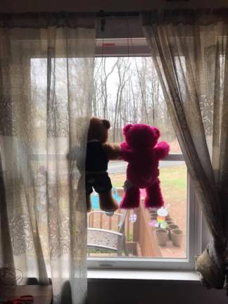Two teddy bears hanging out in Sussex County.