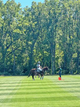 600 attend Polo Classic fundraiser It was the first time that many of the attendees saw polo played in person.