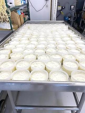 Amazing cheese made from scratch right in Sussex County The cheesemaking process.