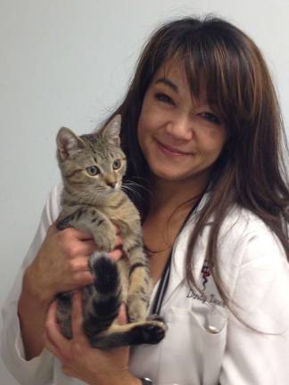 Dr Wendy Turner Joins Andover Animal Hospital