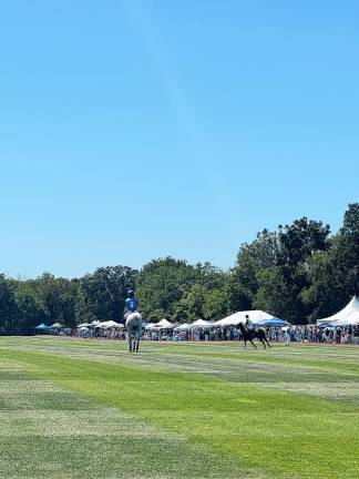 600 attend Polo Classic fundraiser 600 attend Polo Classic fundraiser