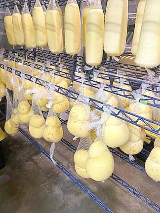 Amazing cheese made from scratch right in Sussex County A look inside the cheese cave.