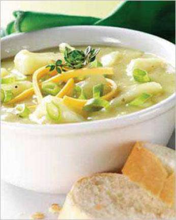 Soup's On-The Spring Street Soup Company Soup's On-The Spring Street Soup Company