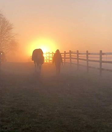 Modern equestrian facility comes with renovated home Modern equestrian facility comes with renovated home