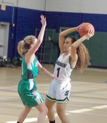 Sussex County's Jeyleen Joaquin handles the ball while covered by Ocean County's Alexandra Toth in the third quarter.