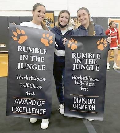Vernon cheerleaders win overall best in competition