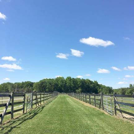 Modern equestrian facility comes with renovated home Modern equestrian facility comes with renovated home