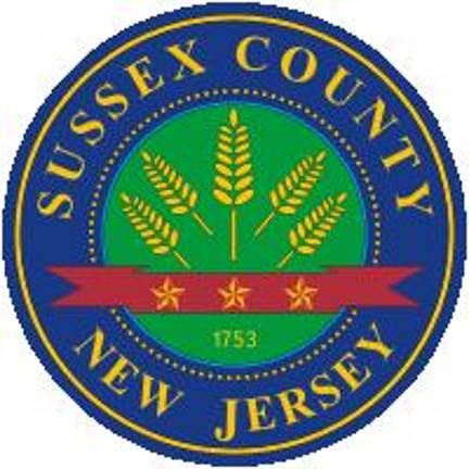 County strives to put together an overdose fatality review team County strives to put together an overdose fatality review team