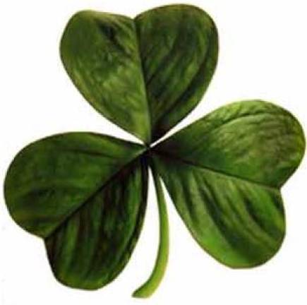 Fun and sober St. Patrick's celebration Fun and sober St. Patrick's celebration
