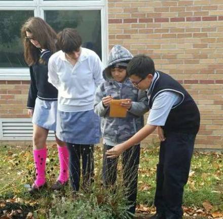 pope john students meet the bees The middle school team gets some assistance from the high schoolers