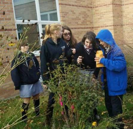 pope john students meet the bees Green Team and Panthers learning together