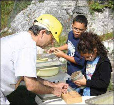Dig for fossils at Sterling Hill Dig for fossils at Sterling Hill