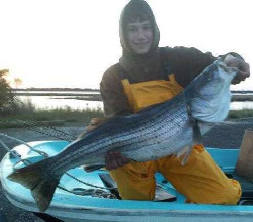 Young sportsman turns business owner at 18 Kazar with a sizable striped bass.