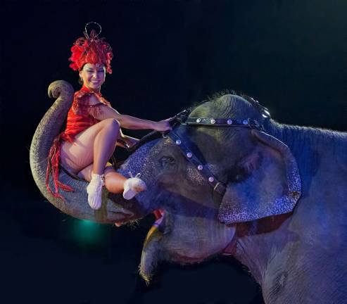 Circus coming to Jefferson Cindy the elephant carries circus performer Deya Rosales with her trunk at Kelly Miller Circus. Photo by Rick Purdue