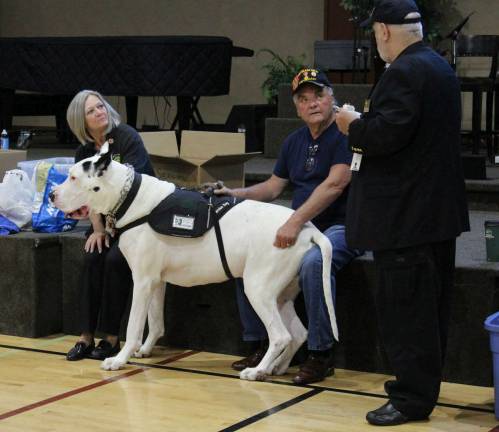Volunteers step up for homeless vets at Stand Down Peter, a Vietnam War vet with his 234lb service dog Apollo.