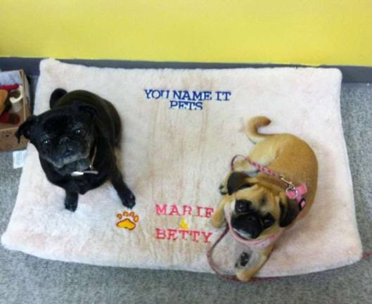Local opens custom embroidery and engraving store Owner Charlene Malley's dogs with a custom embroidery blanket.