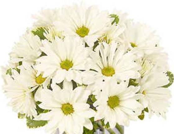 Museum Garden Club to meet on March 11 Museum Garden Club to meet on March 11