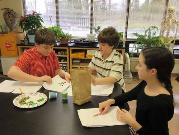 Students use candy to learn genetics Pictured left to right are Vincent Spina, Gianluca Turndorf and Abigail Morris.