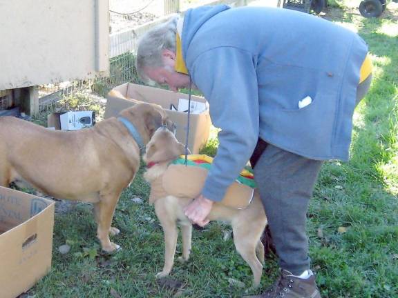 Cooperation is key as Freddie completes his transformation into a hotdog (Photo by Janet Redyke)