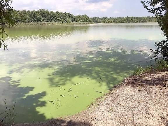 One of many Harmful Algal Blooms identified in state lakes last summer.