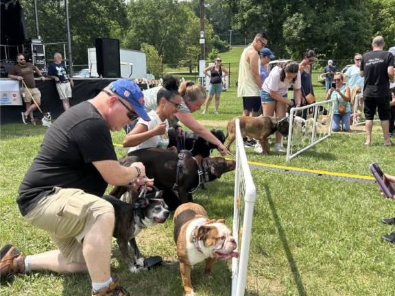Pupstock Festival is today at fairgrounds <b>Dogs take part in the peanut butter-eating contest at Pupstock Festival last year. (File photo by Daniele Sciuto)</b>