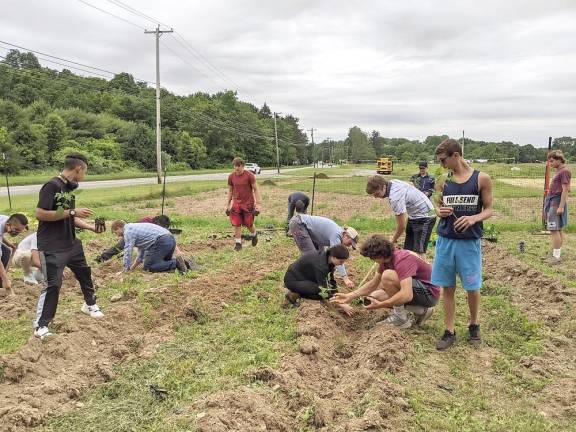 Students at work (Photo provided)