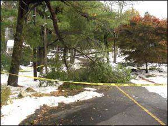 Nor'Easter comes a-knockin' Nor'Easter comes a-knockin'