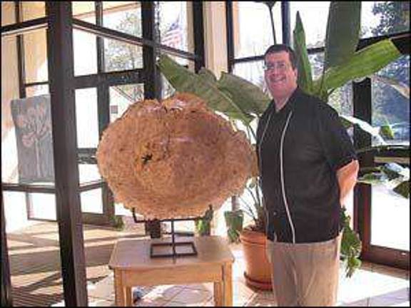 Hilltop 34th annual art show will feature woodturner Hilltop 34th annual art show will feature woodturner