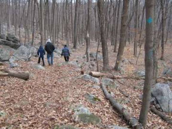 One of the well-marked hiking trails on Sparta Mountain in March 2009.