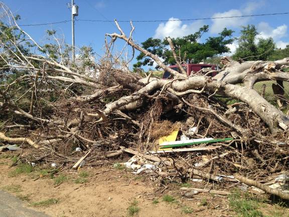 Traveling to Vieques after Hurricane Maria Debris made up of trees and houses lined almost every roadside