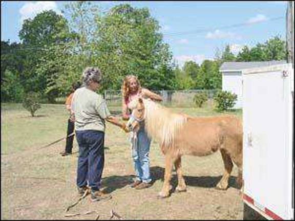 New Children S Equine Book Based On Real Life Blind Pony