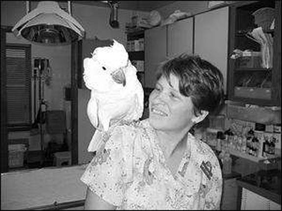 Animal Hospital of Sussex County welcomes new veterinary doctor Animal Hospital of Sussex County welcomes new veterinary doctor