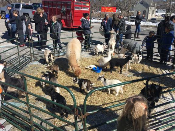 Children delighted in the petting zoo set up outside the Rec building Photos by Amy Shewchuk