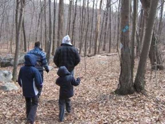 Sierra Club: State, NJ Audubon lied so they could log Sparta Mt. PHOTOS BY MADHURI MURE Hiking Sparta Mountain