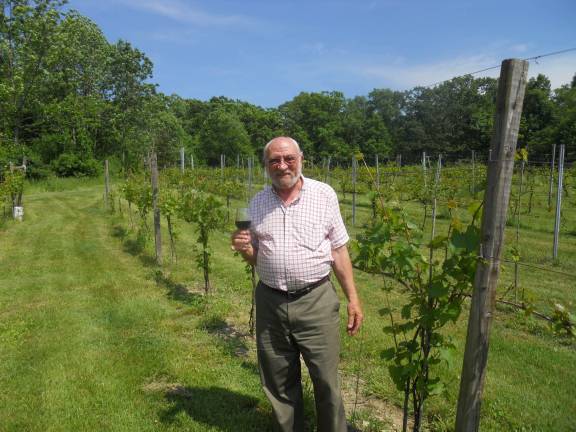 Ventimiglia Vineyards offers a taste of New Jersey's grapes Gene Ventimiglia makes a toast.