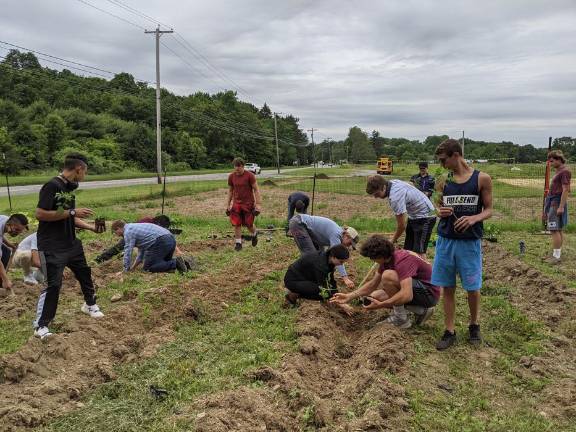 Public invited to SCCC Student Farm on Fridays Students in the horticultural science program at SCCC plant crops on the Student Farm. (Photo provided)
