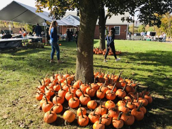 Attendees were able to select a pumpkin and paint it this Sunday, Oct. 13, 2019 at the Sparta VFW. It was part of a Sparta Kiwanis effort to thank the community for supporting Kiwanis programs throughout the year.