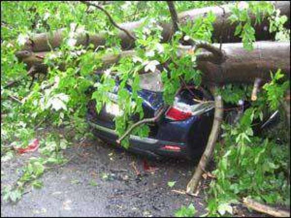 Memories of Irene Memories of Irene